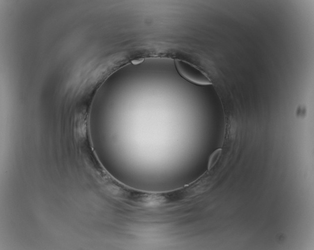 X0000113990719200910021222