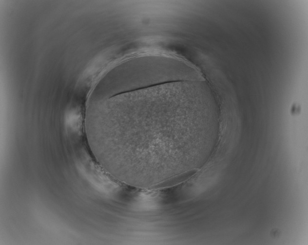 X0000113990720200910021222