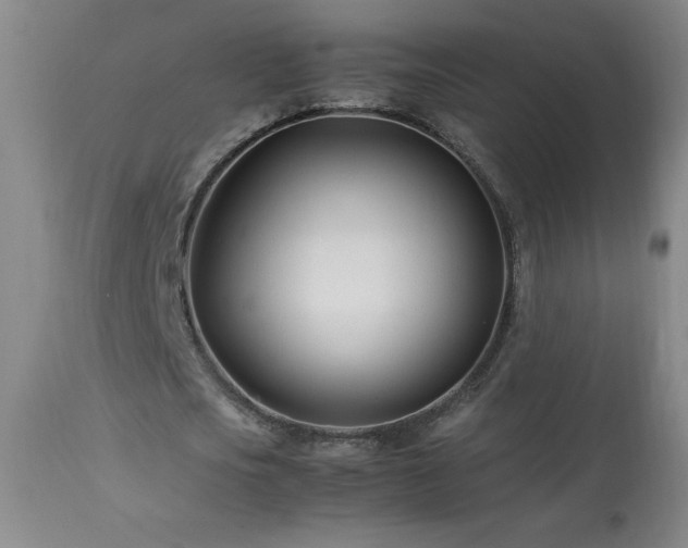 X0000113990721200910021222