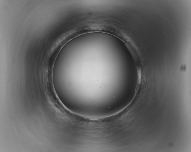 X0000113990722200910021222