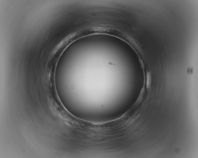 X0000113990723200910021222