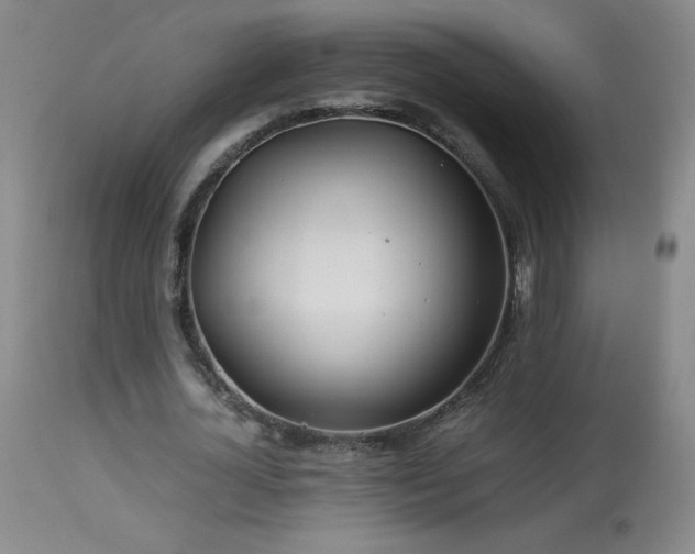 X0000113990724200910021222