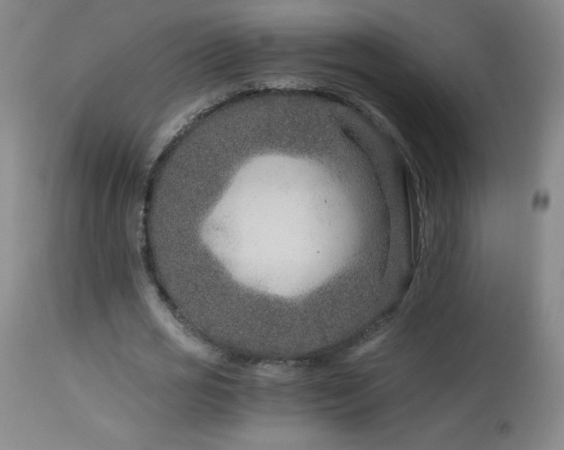 X0000113990725200910021222