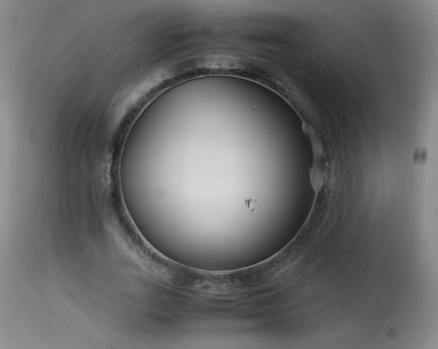 X0000113990727200910021222