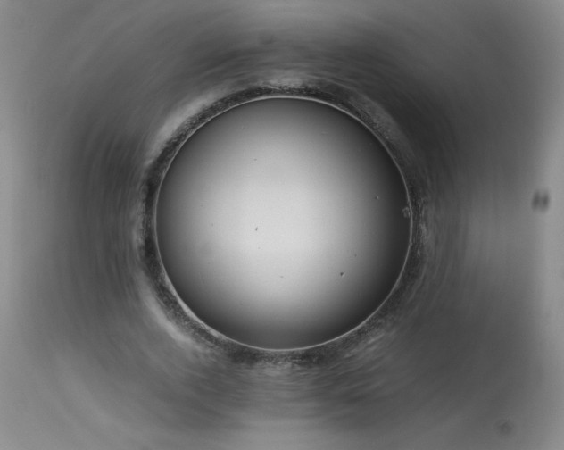 X0000113990728200910021222