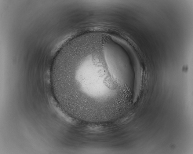 X0000113990729200910021222