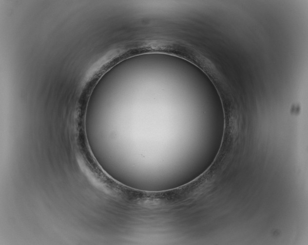 X0000113990730200910021222