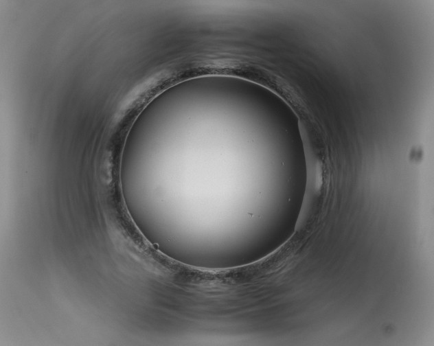 X0000113990731200910021222