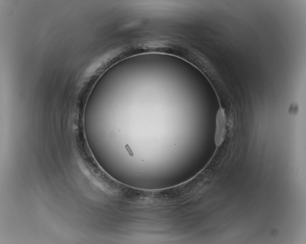 X0000113990732200910021222