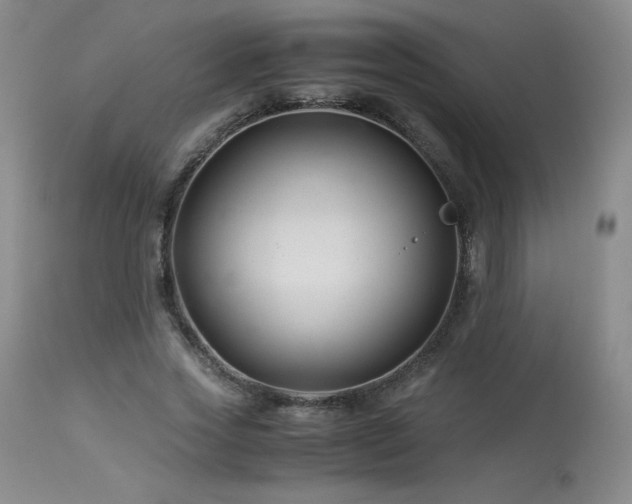 X0000113990733200910021222