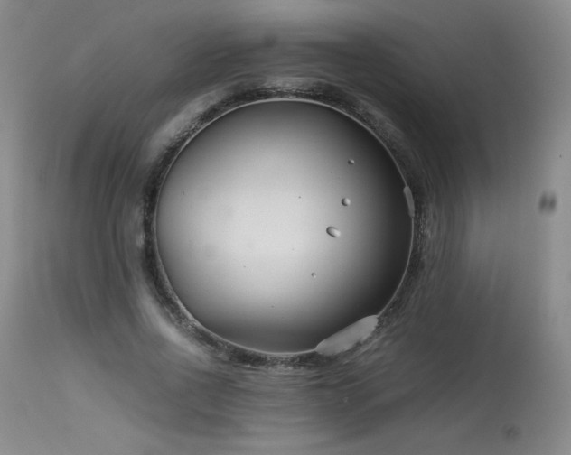 X0000113990734200910021222