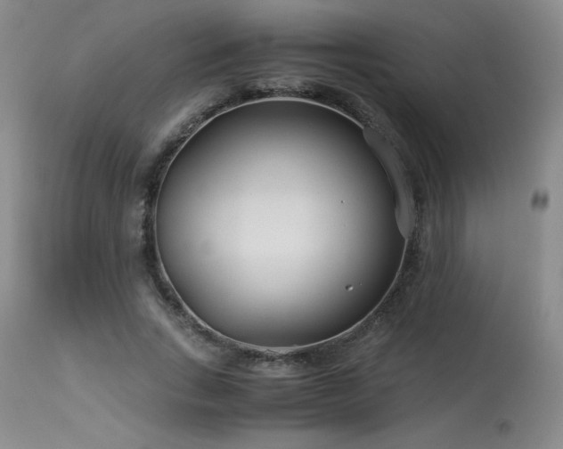 X0000113990735200910021222