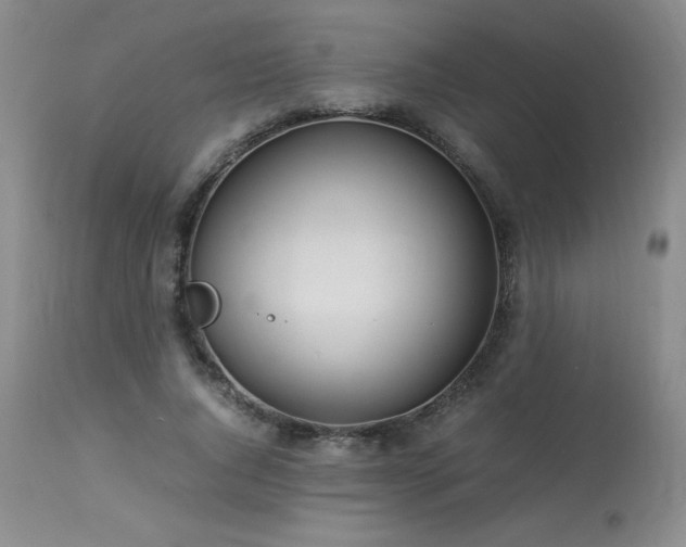 X0000113990736200910021222