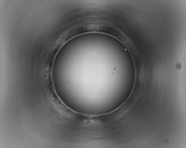 X0000113990737200910021222