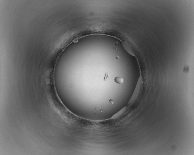 X0000113990738200910021222