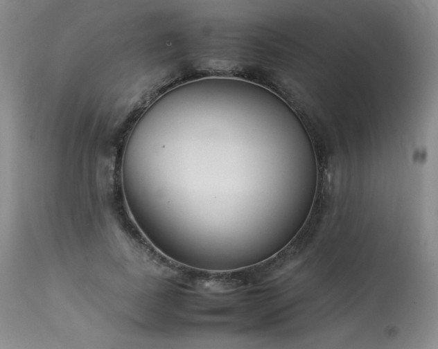 X0000113990739200910021222