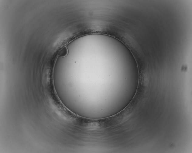 X0000113990740200910021222