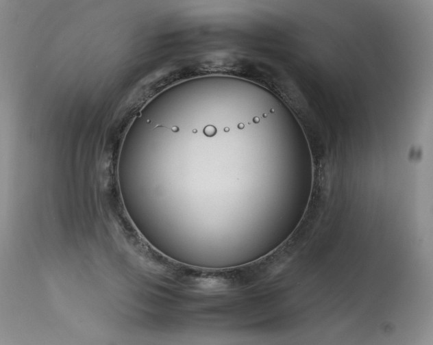 X0000113990741200910021222