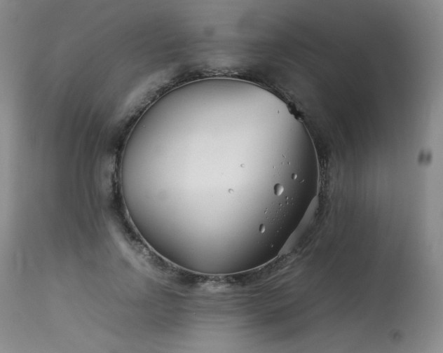 X0000113990742200910021222