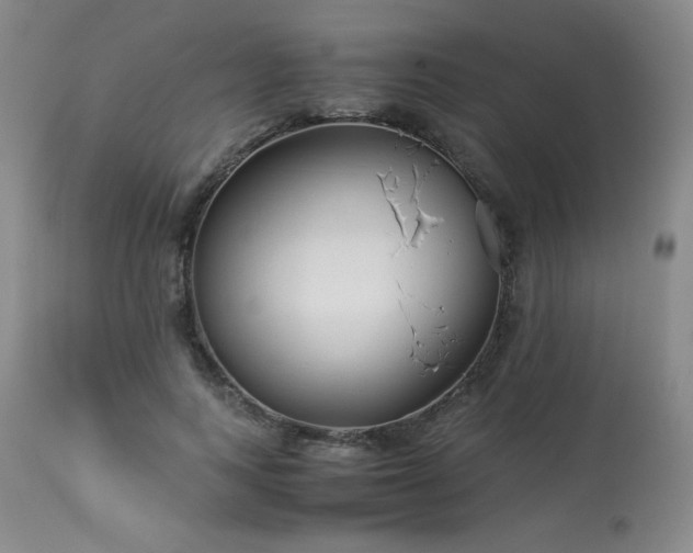 X0000113990743200910021222