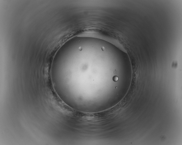 X0000113990745200910021222