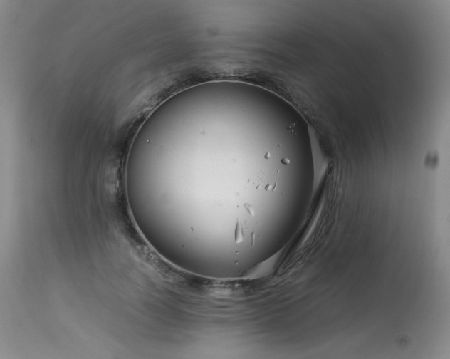 X0000113990746200910021222