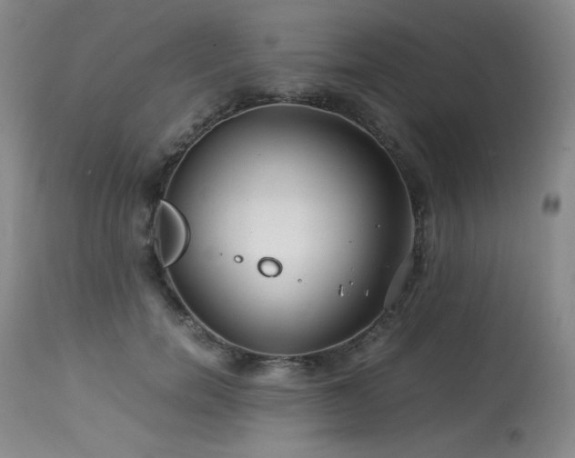 X0000113990750200910021222