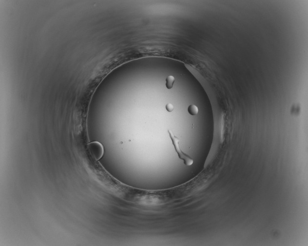 X0000113990751200910021222