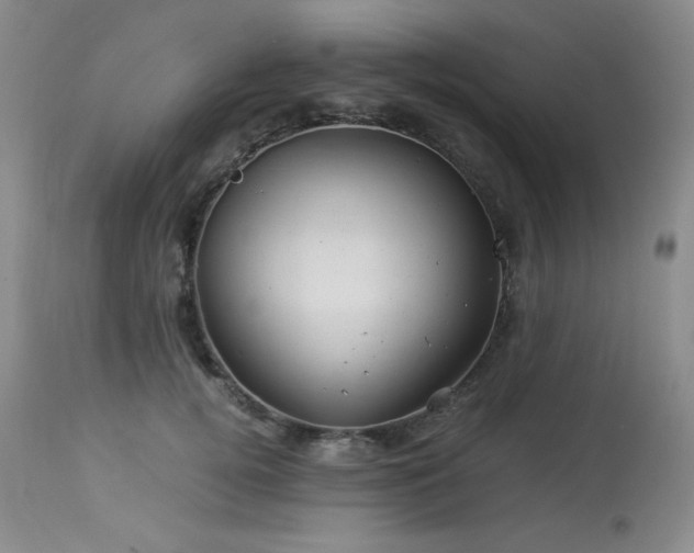 X0000113990752200910021222