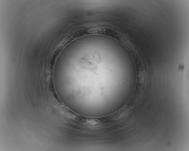 X0000113990753200910021222