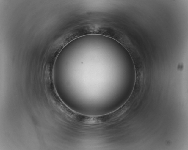 X0000113990754200910021222