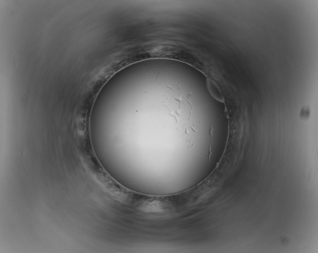 X0000113990755200910021222