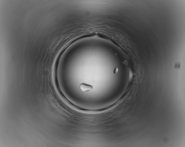 X0000113990756200910021222