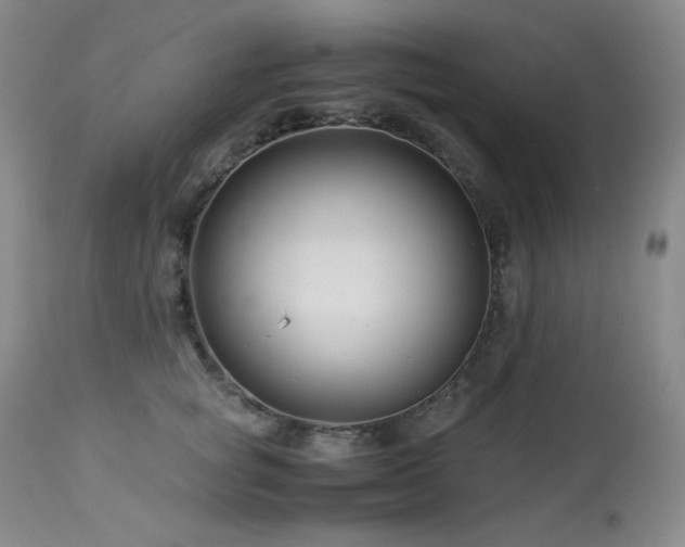 X0000113990757200910021222