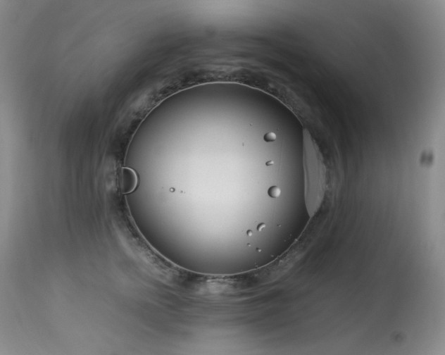 X0000113990758200910021222