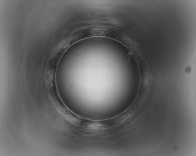 X0000113990759200910021222