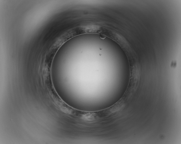 X0000113990761200910021222