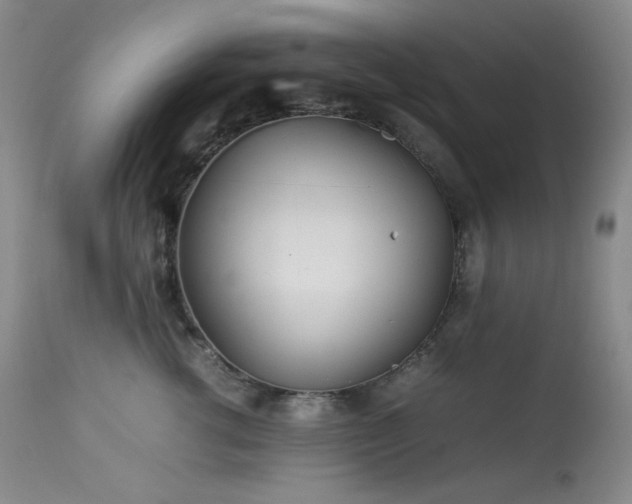 X0000113990762200910021222