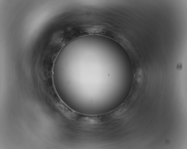 X0000113990763200910021222