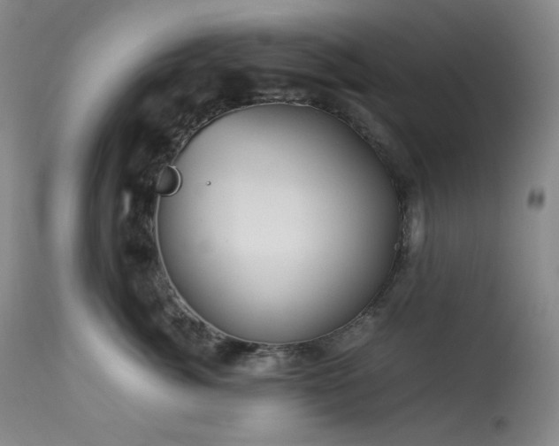 X0000113990764200910021222