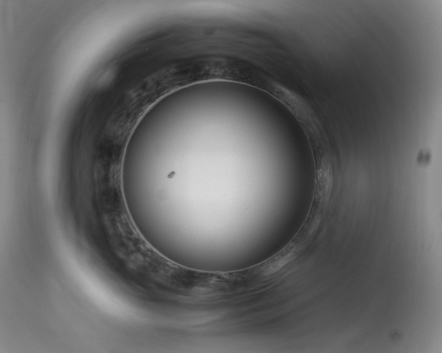 X0000113990765200910021222