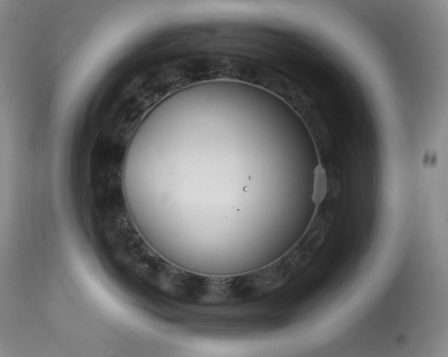 X0000113990766200910021222