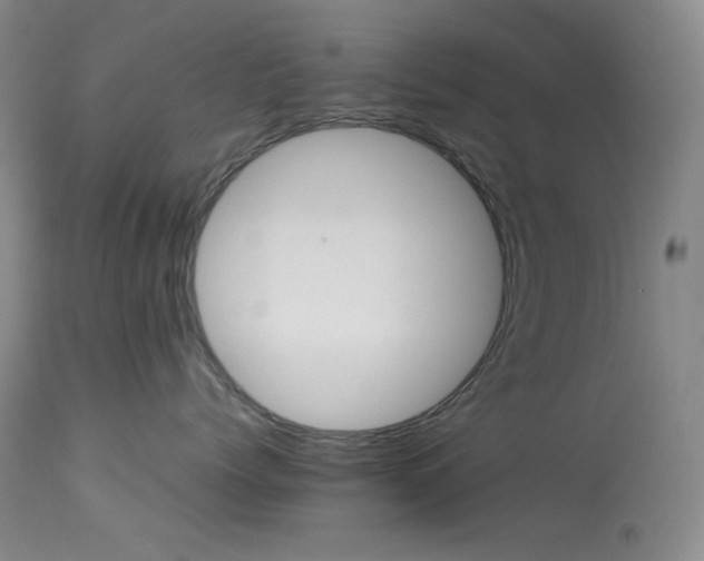 X0000113990768200910021222