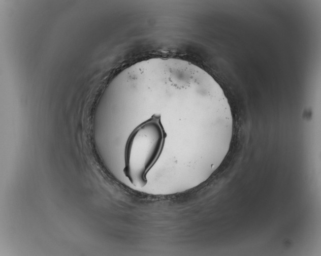 X0000113990769200910021222