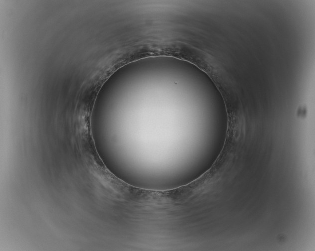 X0000113990770200910021222