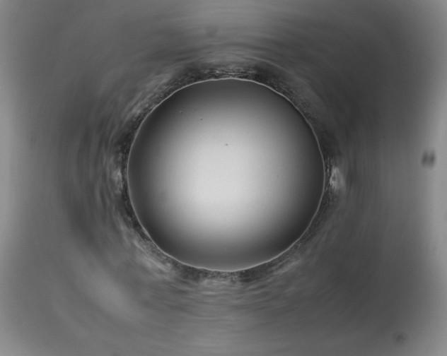 X0000113990771200910021222