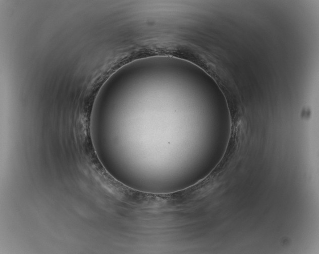 X0000113990772200910021222