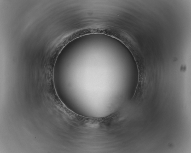 X0000113990773200910021222