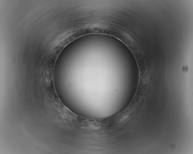 X0000113990774200910021222