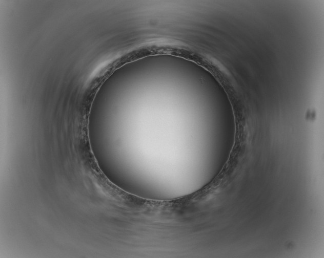 X0000113990775200910021222